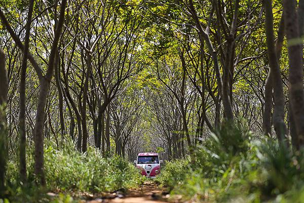 IMG_7174.jpg IMG_7174.jpg