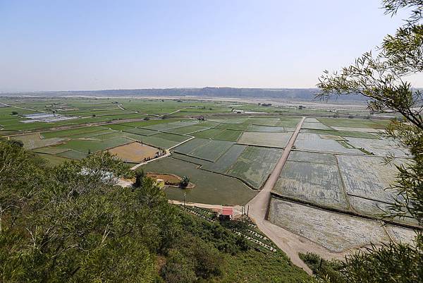 IMG_7296.jpg IMG_7296.jpg