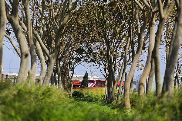 IMG_7270.jpg IMG_7270.jpg