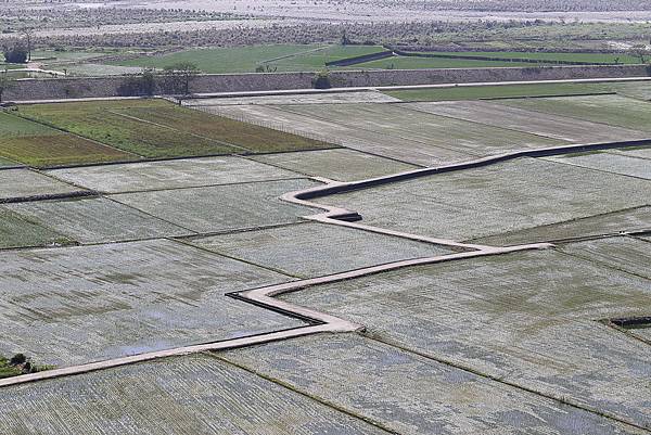 IMG_7317.jpg IMG_7317.jpg