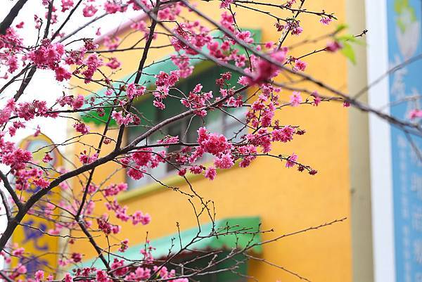 IMG_8804.jpg IMG_8804.jpg