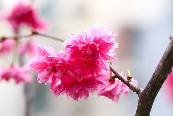 IMG_8808.jpg IMG_8808.jpg