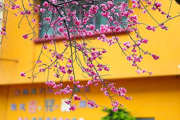 IMG_8812.jpg IMG_8812.jpg