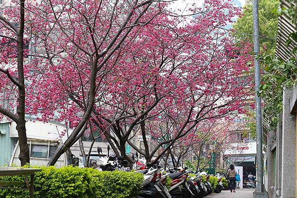 IMG_8830.jpg IMG_8830.jpg