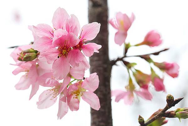 IMG_8852.jpg IMG_8852.jpg