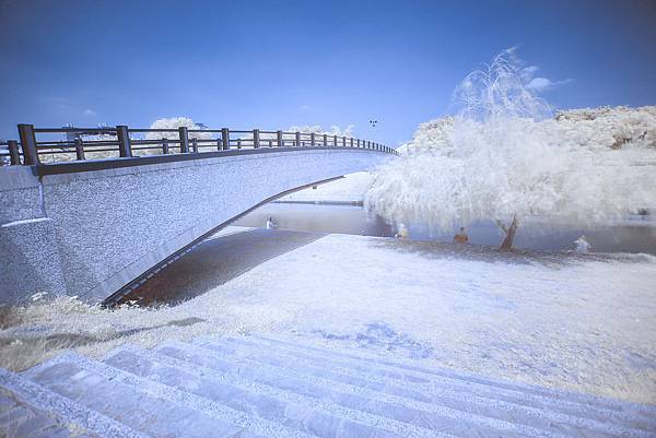 IMG_4004-2.jpg IMG_4004-2.jpg