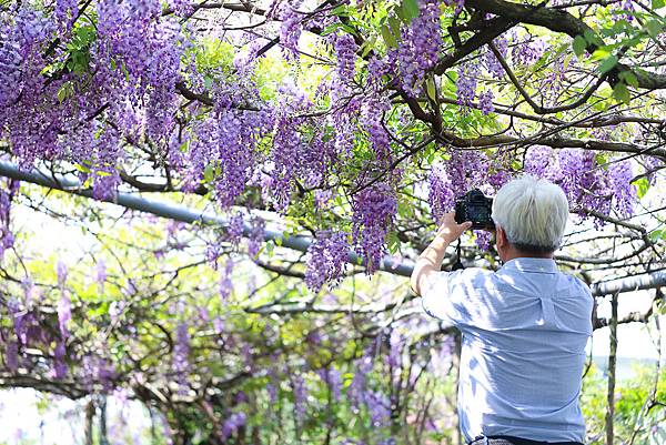 IMG_0801.jpg IMG_0801.jpg