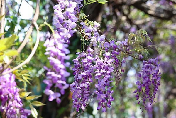 IMG_0864.jpg IMG_0864.jpg