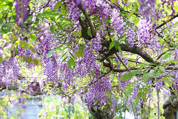 IMG_1012.jpg IMG_1012.jpg