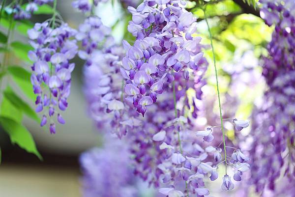 IMG_1035.jpg IMG_1035.jpg