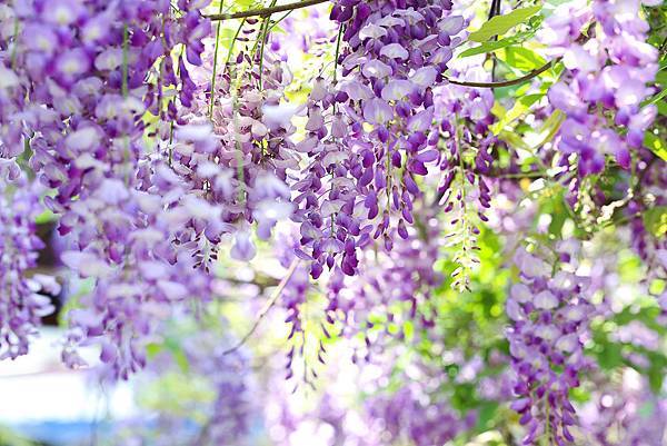 IMG_1042.jpg IMG_1042.jpg