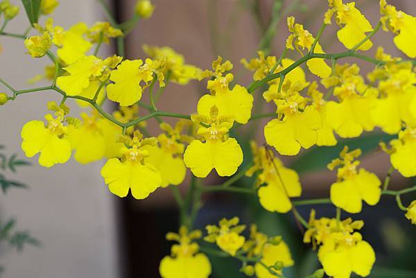 IMG_1009.jpg IMG_1009.jpg