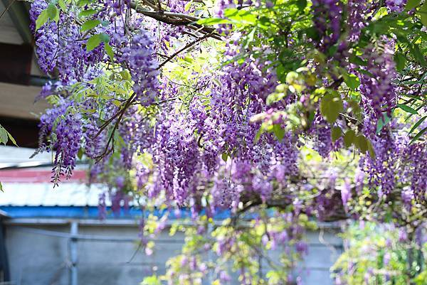 IMG_1014.jpg IMG_1014.jpg