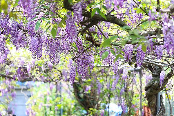 IMG_1062.jpg IMG_1062.jpg