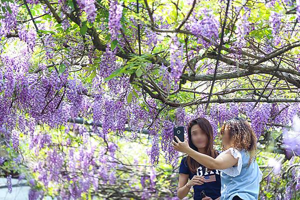 IMG_1090-2.jpg IMG_1090-2.jpg