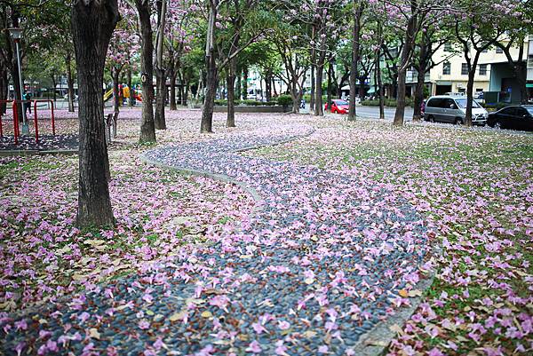 IMG_1314.jpg IMG_1314.jpg