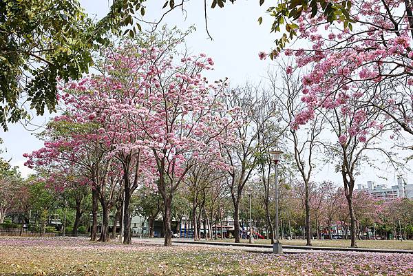 IMG_1261.jpg IMG_1261.jpg