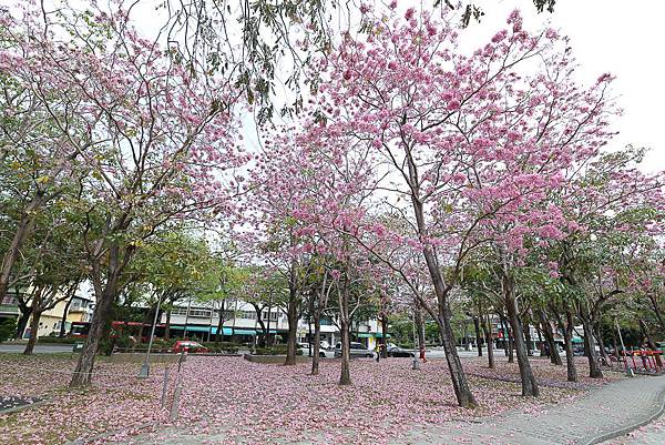 IMG_1343.jpg IMG_1343.jpg