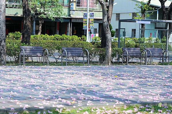 IMG_1454.jpg IMG_1454.jpg