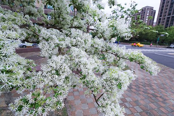 IMG_1754.jpg IMG_1754.jpg