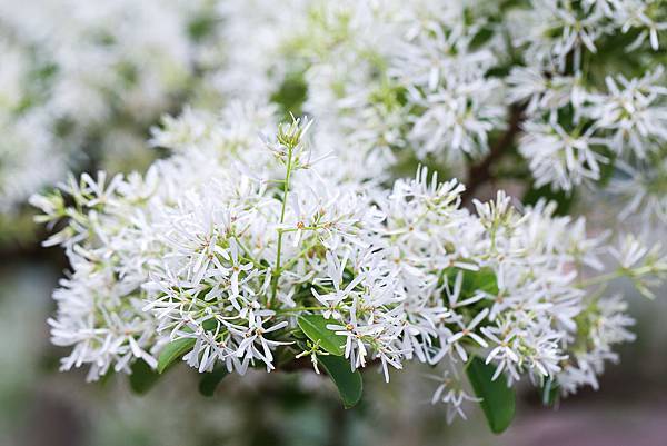 IMG_1775.jpg IMG_1775.jpg