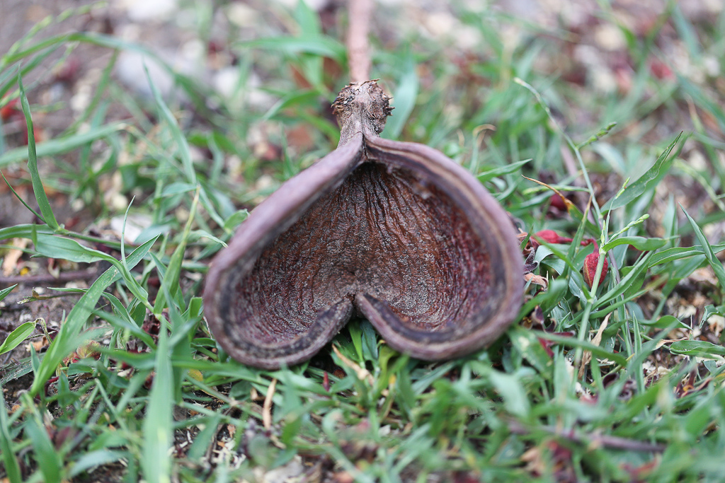 IMG_2264.jpg IMG_2264.jpg