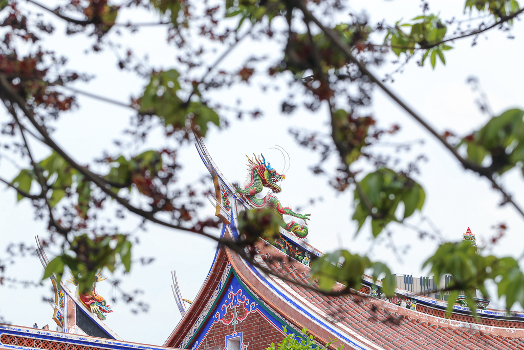 IMG_2519.jpg IMG_2519.jpg