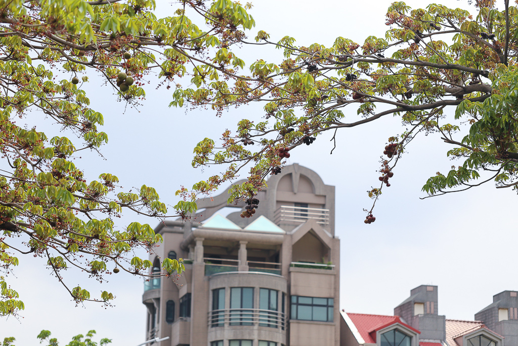 IMG_2549.jpg IMG_2549.jpg