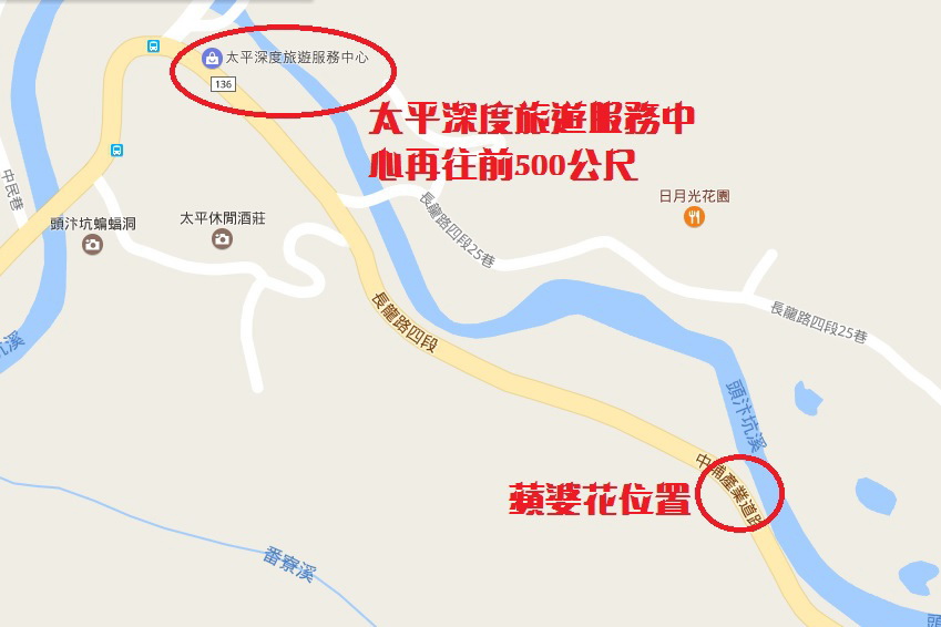 蘋婆花位置.jpg 蘋婆花位置.jpg
