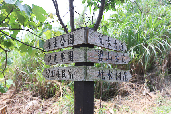 IMG_4110.jpg IMG_4110.jpg