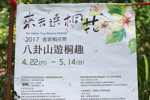 IMG_4143.jpg IMG_4143.jpg