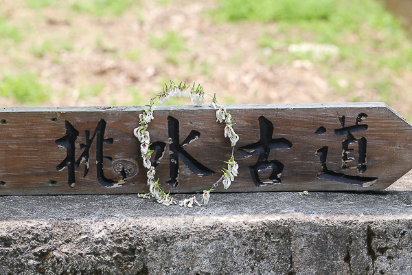 IMG_4170.jpg IMG_4170.jpg