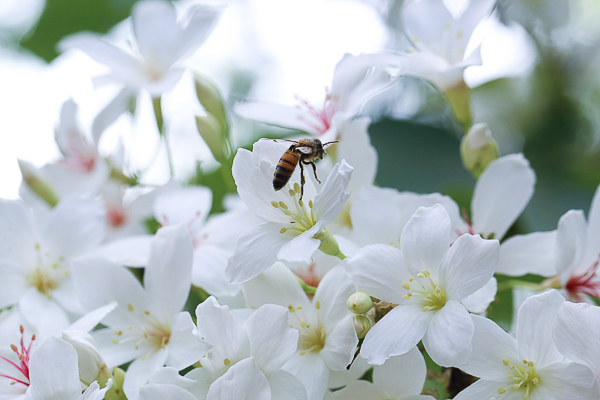 IMG_4389.jpg IMG_4389.jpg