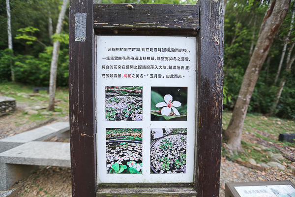 IMG_4438.jpg IMG_4438.jpg