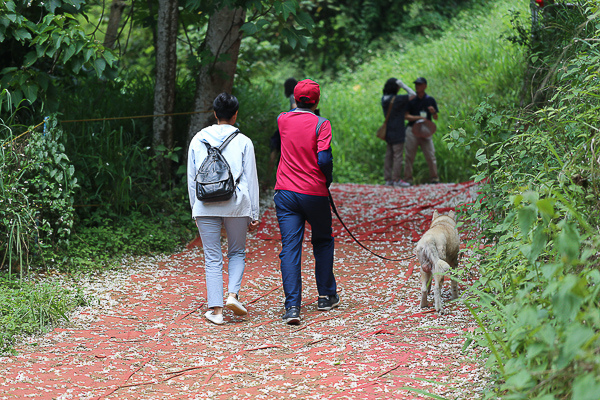 IMG_4685.jpg IMG_4685.jpg