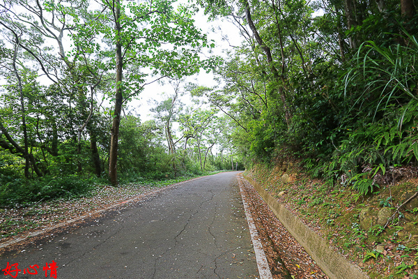 IMG_5664.jpg IMG_5664.jpg