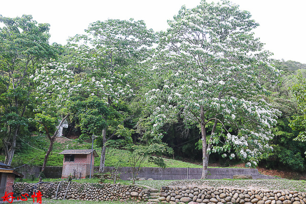 IMG_5696.jpg IMG_5696.jpg