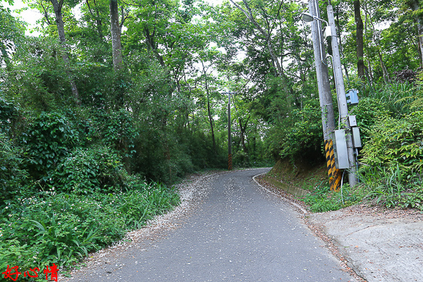 IMG_5669.jpg IMG_5669.jpg