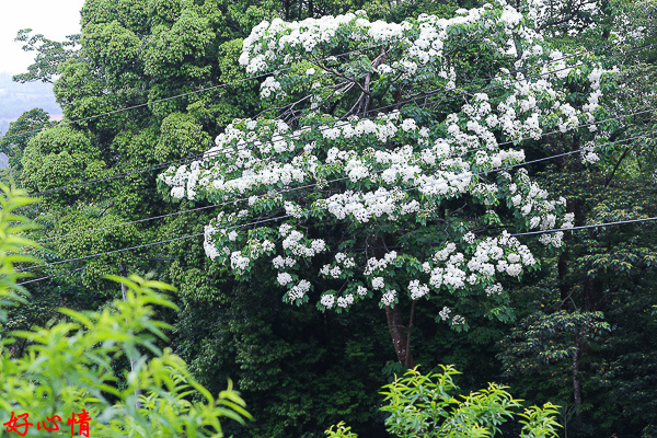 IMG_5535.jpg IMG_5535.jpg