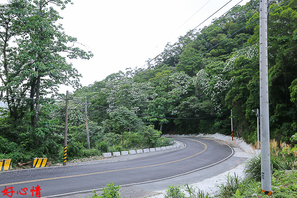 IMG_5537.jpg IMG_5537.jpg