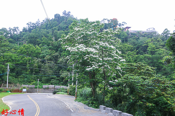 IMG_5553.jpg IMG_5553.jpg