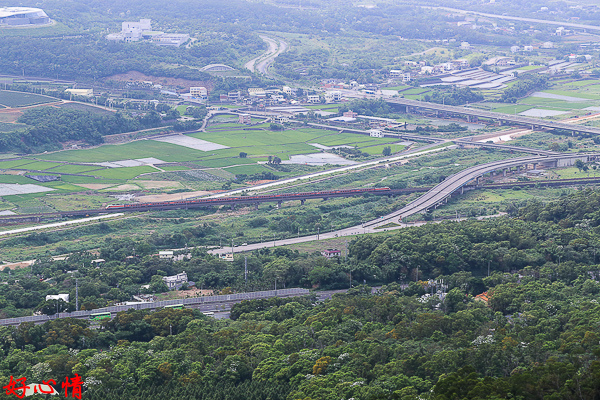 IMG_5592.jpg IMG_5592.jpg