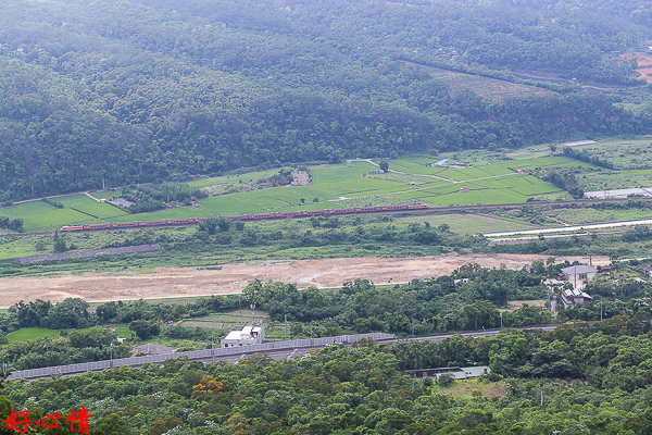 IMG_5589.jpg IMG_5589.jpg