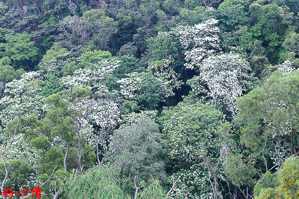 IMG_5577.jpg IMG_5577.jpg