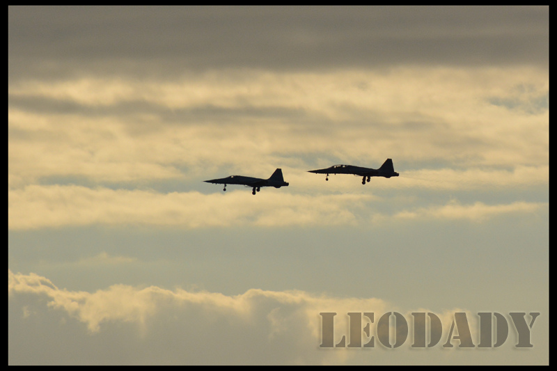 RCAF_F-5_RCQS_03.jpg