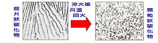 球化.jpg 球化.jpg