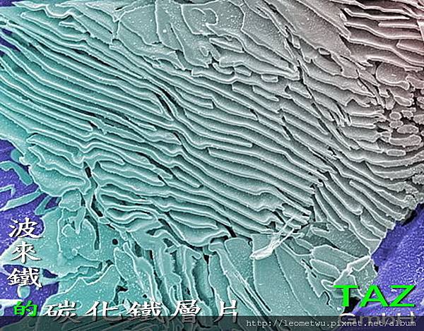 圖片 3a.jpg 圖片 3a.jpg