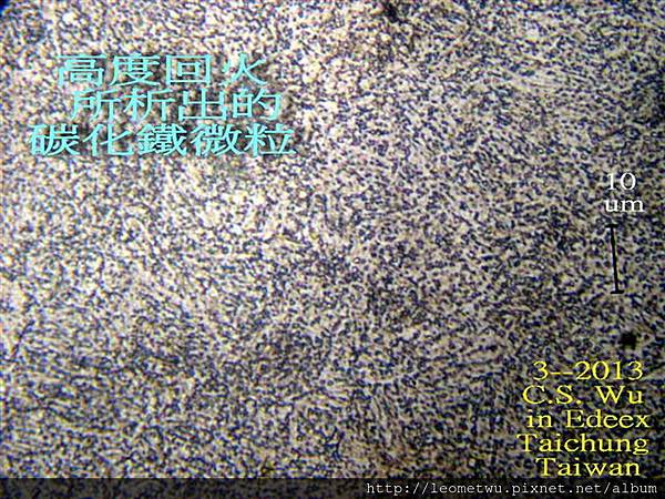 P3193755.jpg P3193755.jpg