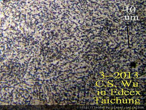 P3193755x.jpg P3193755x.jpg