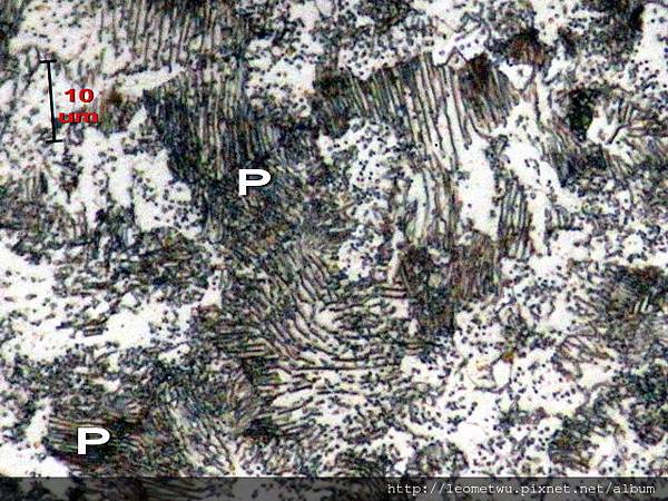 5 IMG_1540.jpg 5 IMG_1540.jpg